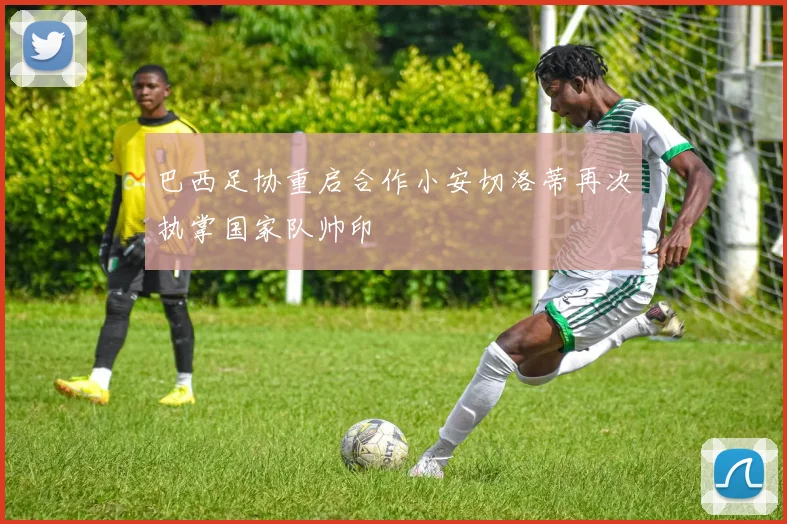 巴西足协重启合作小安切洛蒂再次执掌国家队帅印