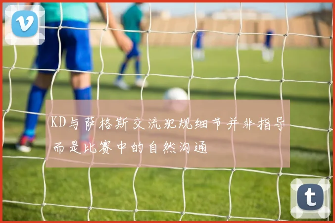 KD与萨格斯交流犯规细节并非指导而是比赛中的自然沟通
