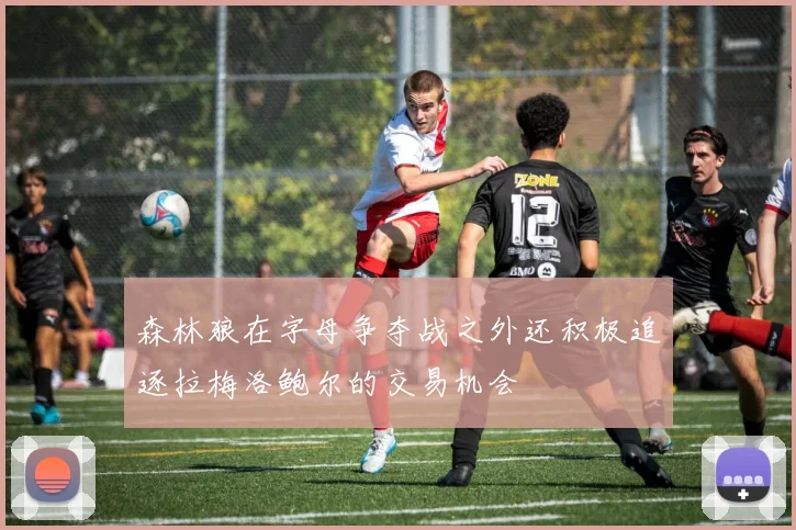 森林狼在字母争夺战之外还积极追逐拉梅洛鲍尔的交易机会