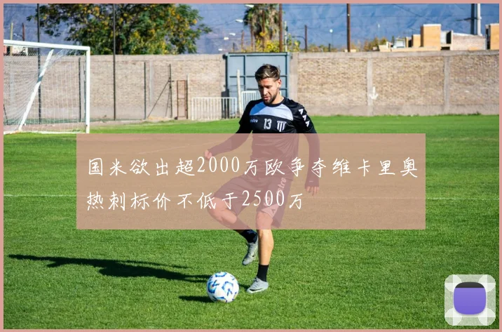 国米欲出超2000万欧争夺维卡里奥热刺标价不低于2500万